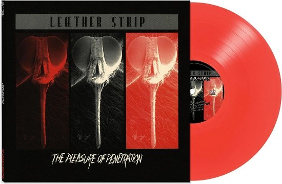 Cover for Leather Strip · Pleasure of Penetration - Red (LP) (2023)
