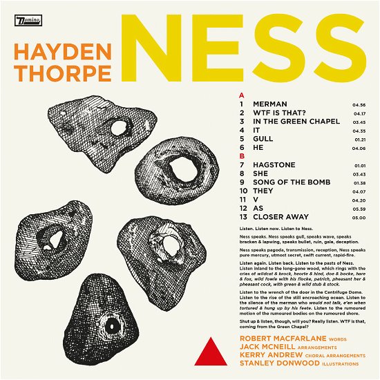 Cover for Hayden Thorpe · Ness (LP) (2024)