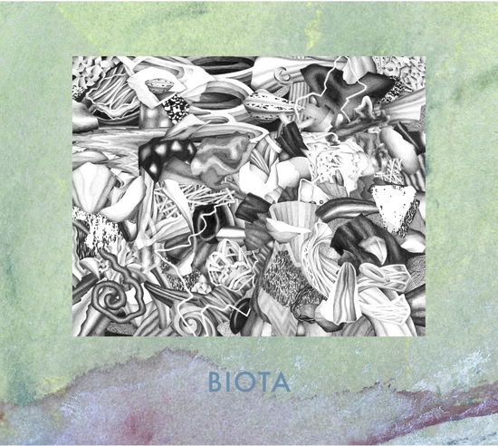 Cover for Biota · Measured Not Found (CD) (2025)