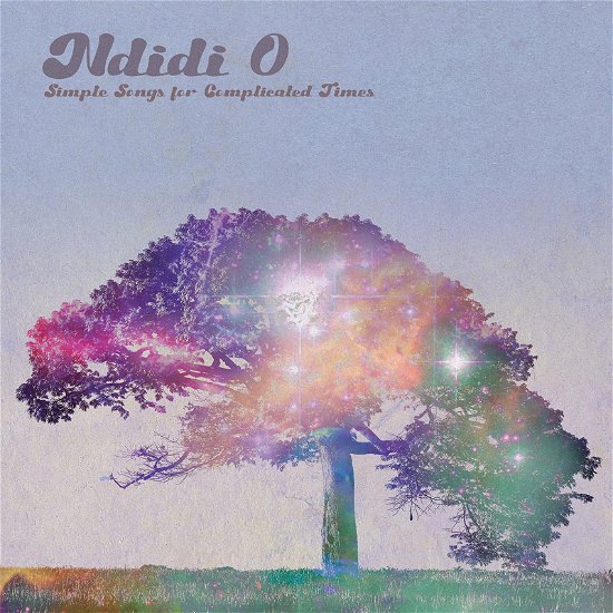 Cover for Niddi O · Simple Song for Complicated Times (CD) (2024)