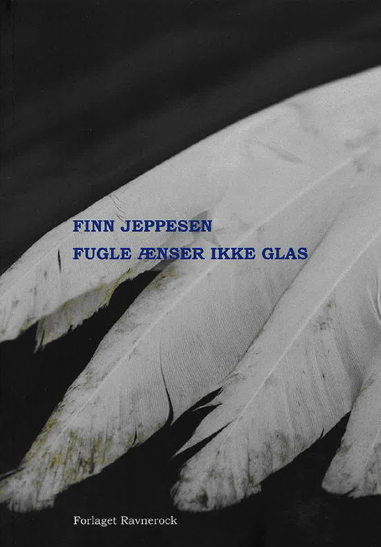 Finn Jeppesen · Fugle ænser ikke glas (Paperback Book) [1st edition] (2024)