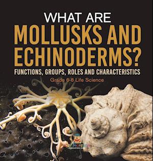 Cover for Baby Professor · What Are Mollusks and Echinoderms? Functions, Groups, Roles and Characteristics Grade 6-8 Life Science (Book) (2024)