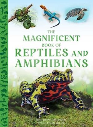 Cover for Tom Jackson · The Magnificent Book Of Reptiles And Amphibians (Buch) (2025)