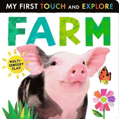 Cover for Crisp, Lauren (Managing Editor (Cat Bespoke)) · Farm - My First Touch and Explore Book (Board book) (2025)