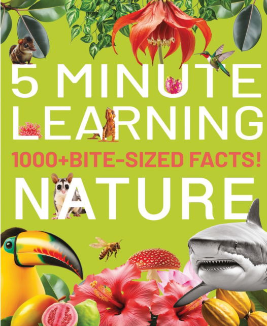 Cover for Cristina Banfi · 1000+ Bite-Sized Facts! Nature: Five Minute Learning (Hardcover Book) (2025)