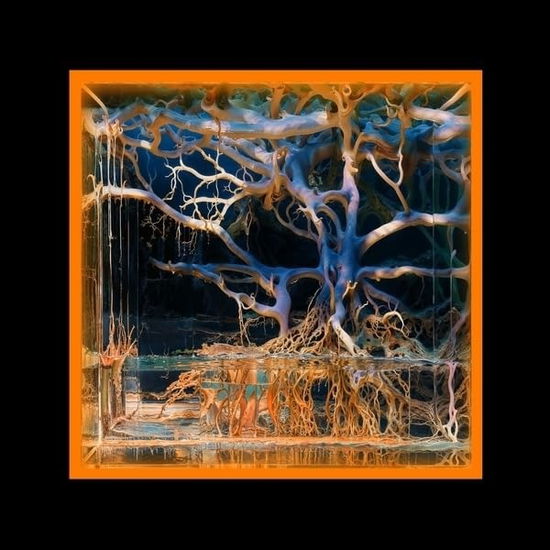 Cover for Batu · Question Mark (LP) (2025)