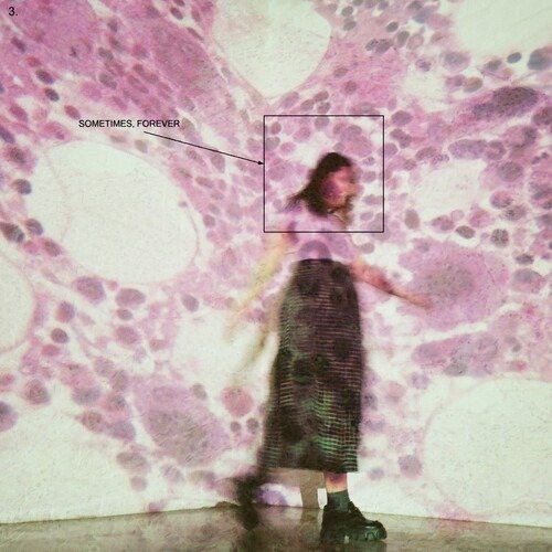 Cover for Soccer Mommy · Sometimes, Forever (Purple,black LP -ltd Edn) (LP) (2022)