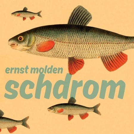 Cover for Ernst Molden · Schdrom (CD)