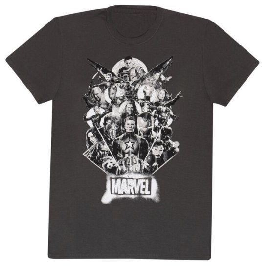 Cover for Marvel · Marvel Comics - Full Team T Shirt (T-shirt) [size M] (2024)