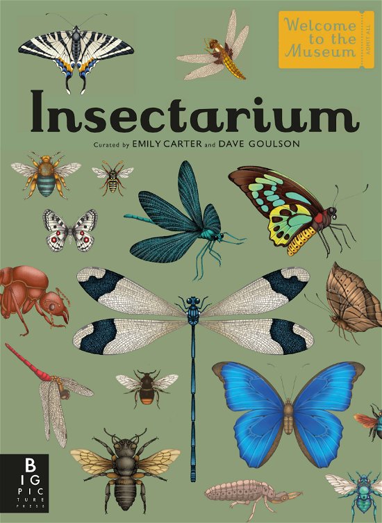 Cover for Dave Goulson · Insectarium (Bound Book) (2024)