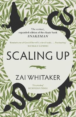 Cover for Zai Whitaker · Scaling Up (Taschenbuch) (2024)