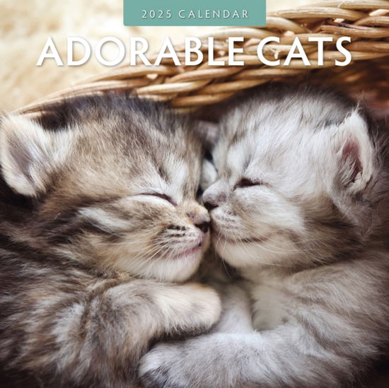 Cover for Red Robin Publishing · Adorable Cats 2025 Square Wall Calendar (Paperback Book) (2024)