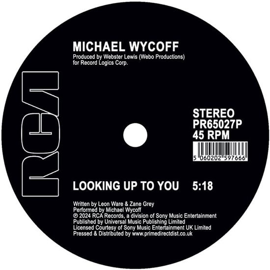 Cover for Michael Wycoff · Looking Up To You - Mike Maurro Mix (LP) (2024)