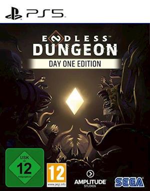 Cover for Playstation 5 · Endless Dungeon Day One Edition (ps5) (SPIL)