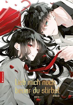 Cover for Sora · Lieb mich noch, bevor du stirbst Artbook: Alle Illustrationen (Bog) (2025)
