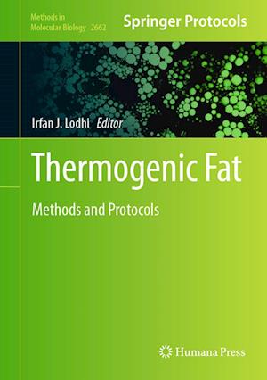 Thermogenic Fat: Methods and Protocols - Methods in Molecular Biology - - Books - Springer-Verlag New York Inc. - 9781071631669 - April 20, 2023