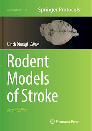 Cover for Rodent Models of Stroke - Neuromethods (Paperback Book) [Softcover reprint of the original 2nd ed. 2016 edition] (2018)