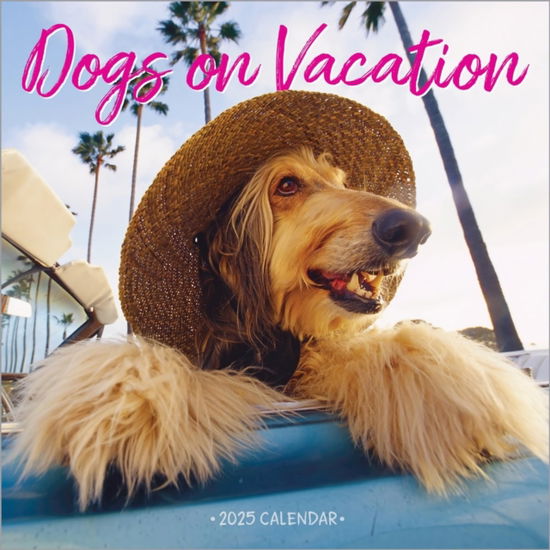 Cover for Workman Calendars · Dogs on Vacation Wall Calendar 2025 (Calendar) (2024)