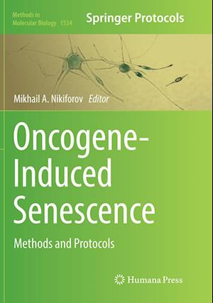Oncogene-Induced Senescence: Methods and Protocols - Methods in Molecular Biology -  - Kirjat - Humana Press Inc. - 9781493982677 - keskiviikko 27. kesäkuuta 2018
