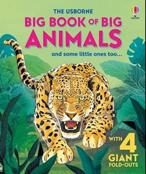 Big Book Of Big Animals - Hazel Maskell - Books -  - 9781835405680 - April 1, 2025