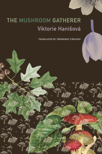 Cover for Viktorie Hanisova · The Mushroom Gatherer - The Czech List (Gebundenes Buch) (2025)