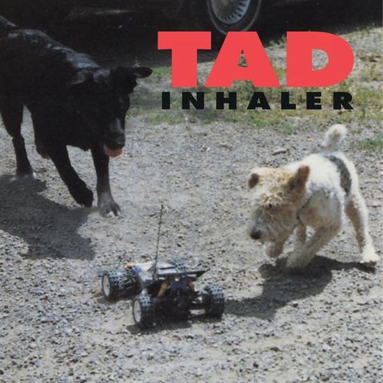 Tad · Inhaler (LP) (2024)