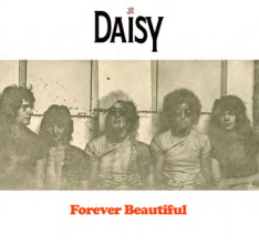 Cover for Daisy · Forever Beautiful (LP) (2025)