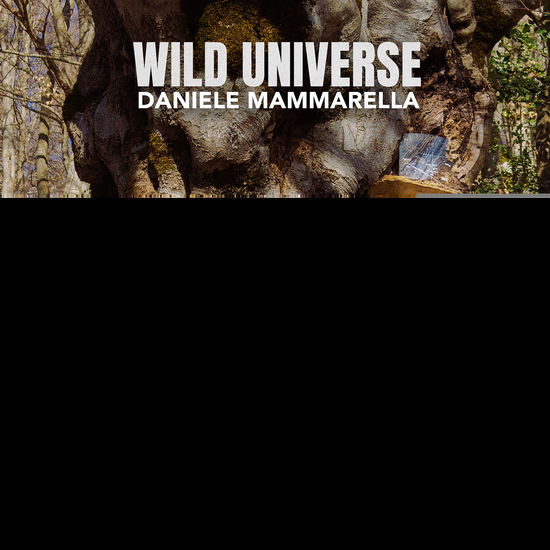 Mammarella Daniele · Wild Universe (CD) (2024)