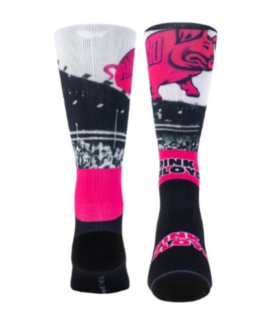 Cover for Pink Floyd · Pink Floyd Pigs Socks (One Size) (Bekleidung) (2024)