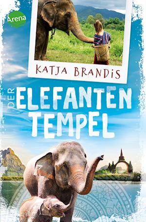 Cover for Katja Brandis · Der Elefantentempel (Book) (2024)