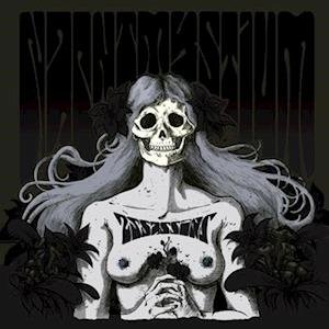 Cover for Nachtmystium · Assassins - Black Meddle Pt. I (LP) (2018)