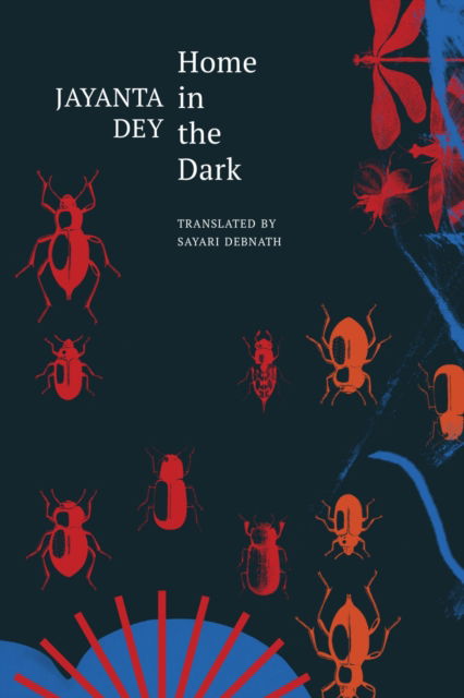 Cover for Jayanta Dey · Home in the Dark: Selected Stories - The India List (Gebundenes Buch) (2026)