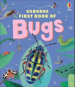 Cover for Katie Daynes · The Usborne First Book of Bugs (Gebundenes Buch) (2026)