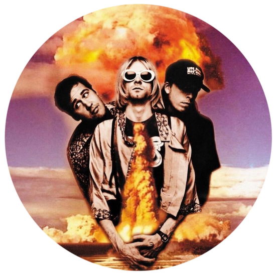Cover for Nirvana · Hollywood Rock Festival 1993 (LP) [Picture Disc edition] (2025)