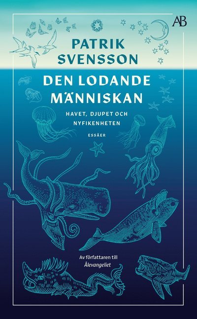 Cover for Patrik Svensson · Den lodande människan : Havet, djupet och nyfikenheten (Paperback Bog) (2024)