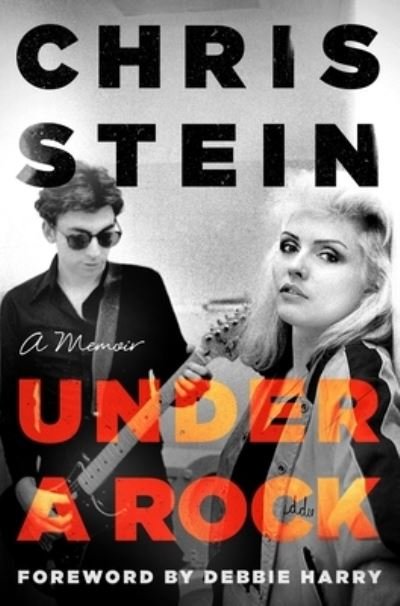 Cover for Chris Stein · Under a Rock (Book) (2024)