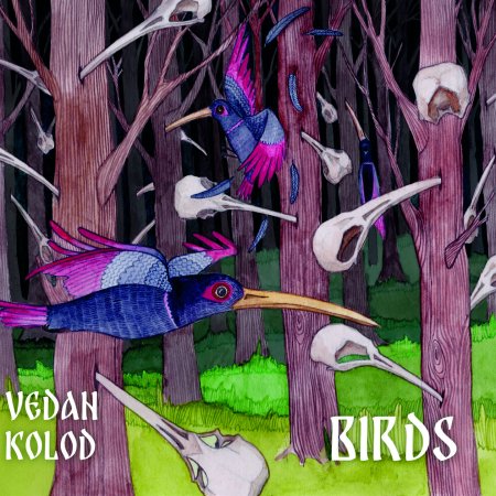 Cover for Vedan Kolod · Birds (CD) [Digipak] (2024)