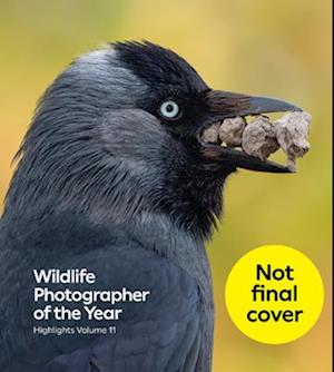Cover for Wildlife Photographer of the Year: Highlights volume 11 - Wildlife Photographer of the Year (Paperback Book) (2025)