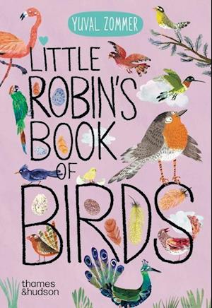 Cover for Yuval Zommer · Little Robin's Book of Birds (Board book) (2025)