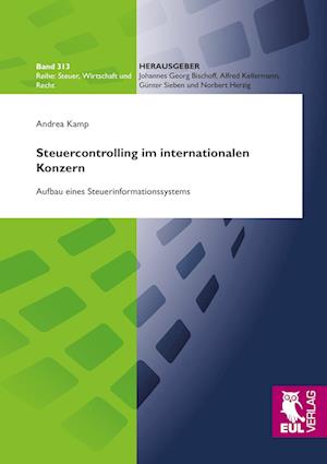 Cover for Andrea Kamp · Steuercontrolling im internationalen Konzern (Paperback Book) (2011)