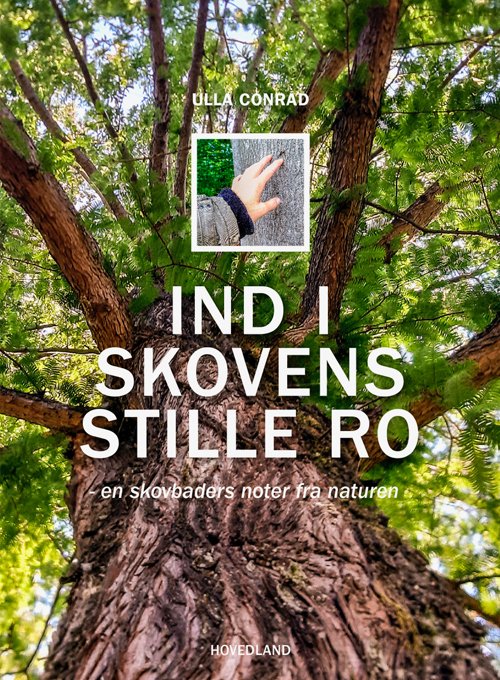 Cover for Ulla Conrad · Ind i skovens stille ro (Taschenbuch) [1. Ausgabe] (2024)