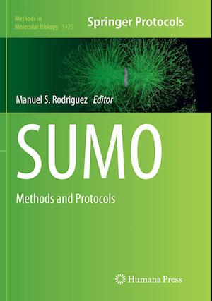 SUMO: Methods and Protocols - Methods in Molecular Biology - - Livros - Humana Press Inc. - 9781493981755 - 21 de abril de 2018