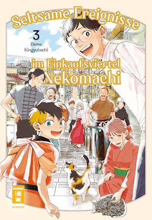 Cover for Deme Kingyobachi · Seltsame Ereignisse im Einkaufsviertel Nekomachi 03 (Book) (2025)