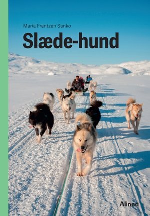 Cover for Maria Frantzen Sanko · Fagklub: Slædehund, Grøn Fagklub (Innbunden bok) [1. utgave] (2024)