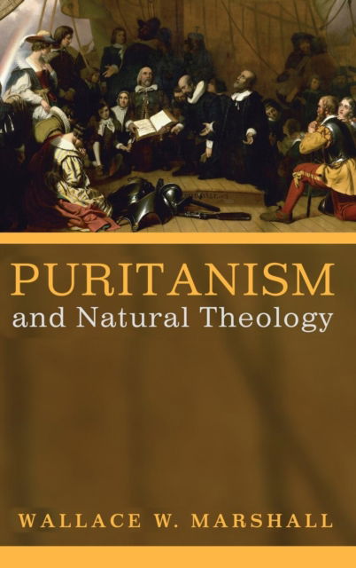 Cover for Marshall, Wallace Williams, III · Puritanism and Natural Theology (N/A) (2016)