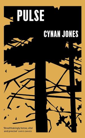 Cover for Cynan Jones · Pulse (Gebundenes Buch) (2025)