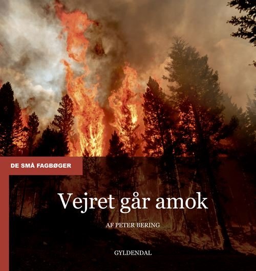 Cover for Peter Bering · De små fagbøger: Vejret går amok (Heftet bok) [1. utgave] (2024)