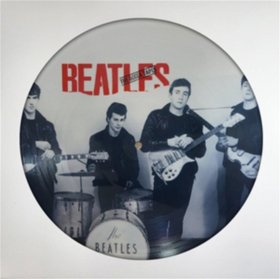 Cover for The Beatles · The Decca Tapes (LP) [Picture Disc edition] (2024)