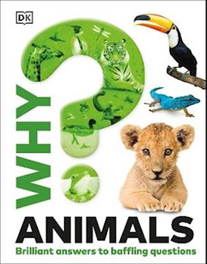 Cover for Dk · Why? Animals: Brilliant Answers to Baffling Questions - Why? Series (Gebundenes Buch) (2026)