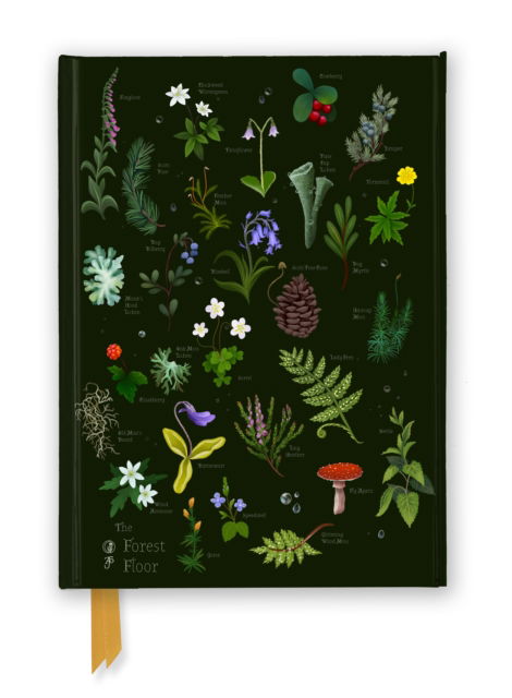 Cover for Flame Tree Studio · Anna Stead: The Forest Floor (Foiled Journal) (Stationery) (2026)